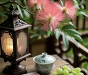 Reading - A Good Habit 阅读——一个好习惯