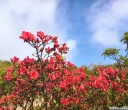 熟读两句英语