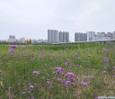 熟读两句英语