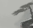 《Helping Grandma》帮奶奶的忙