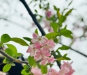熟读两句英语