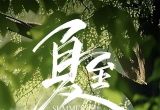 《The Happy Duck》快乐的小鸭