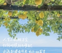 熟读两句英语