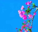 熟读两句英语