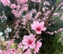 熟读两句英语