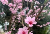 熟读两句英语