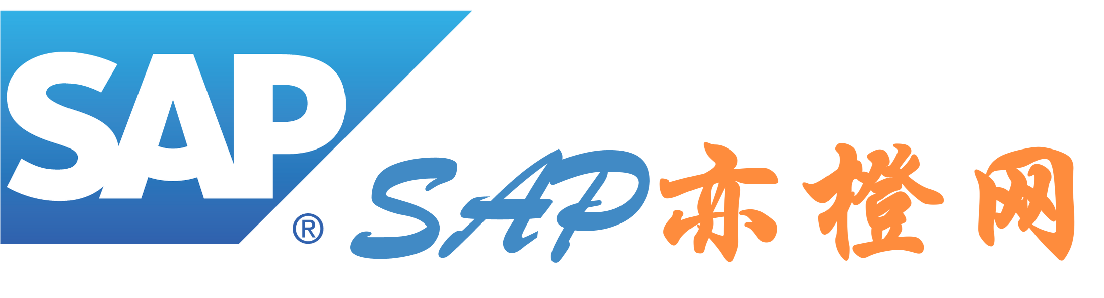 SAP亦橙网